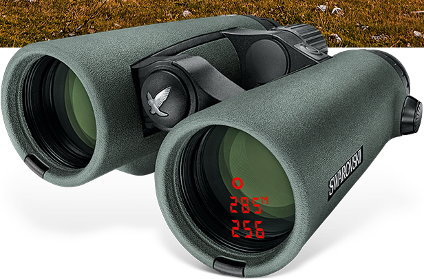 Best Binoculars