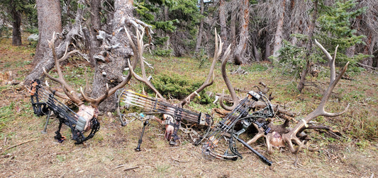 How to Backcountry Archery Elk Hunt